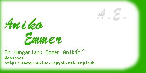 aniko emmer business card